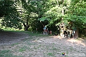 VBS_4942 - Il bosco fatato - Montaldo Roero